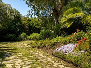 Casa en venta en el centro de Cachagua