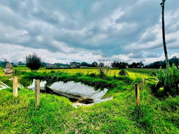 Terreno en venta en Los Saucos