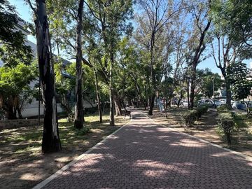 ¡Renta Departamento Amueblado en Jardines del Bosque con Roof Top! 🏢✨