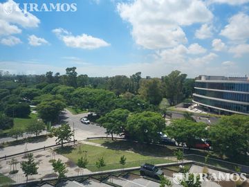 Alquiler de oficina de 79 m2 en Buenavista