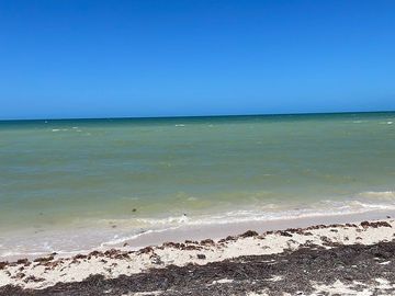 Venta Casa de lujo frente al mar, San Benito , Mérida ,Yucatán.