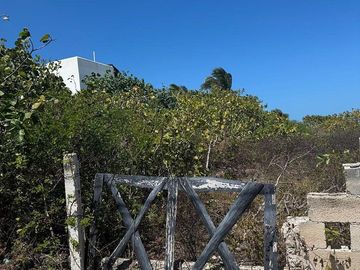 Terreno en Venta Frente al mar en San Benito Yucatan