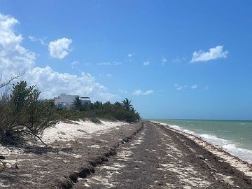 Terreno en Venta Frente al mar en San Benito Yucatan