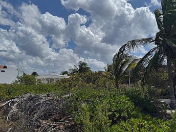 Terreno en Venta Frente al mar en San Benito Yucatan