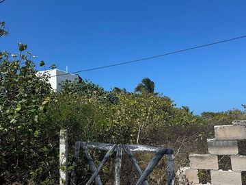 Terreno en Venta Frente al mar en San Benito Yucatan