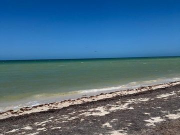 Terreno en Venta Frente al mar en San Benito Yucatan