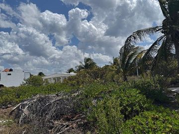 Terreno en Venta Frente al mar en San Benito Yucatan