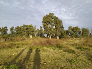 Terreno - Villa La Ñata