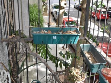 Departamento de tres dormitorios. Cochera doble. Botánico.