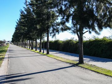 Lote central en La cañada de Pilar, Los Robles CON SERVICIOS YA TRAMITADOS