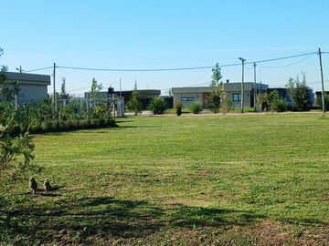 Venta | Canning | Terreno | Barrio Semi Cerrado Don Nino - Estilo Campo 250 mts2
