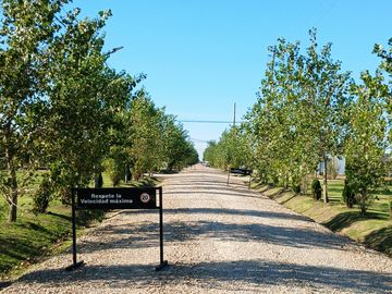 Venta | Canning | Terreno | Barrio Semi Cerrado Don Nino - Estilo Campo 250 mts2