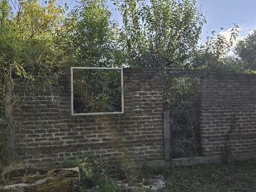 Quinta-Venta-Amplia-Galpon-Arboles-20 De Junio