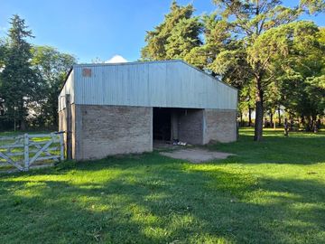 Quinta-Venta-Amplia-Galpon-Arboles-20 De Junio
