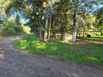 Quinta-Venta-Amplia-Galpon-Arboles-20 De Junio