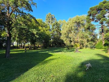 Quinta-Venta-Amplia-Galpon-Arboles-20 De Junio