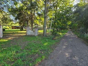 Quinta-Venta-Amplia-Galpon-Arboles-20 De Junio