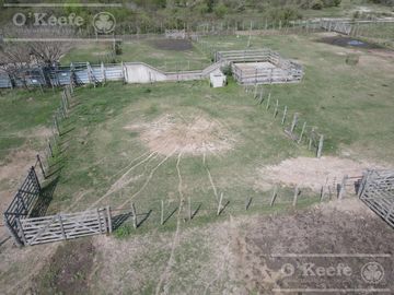 Campo Ganadero en venta - Calchaqui 1200 Has - Con frente sobre ruta