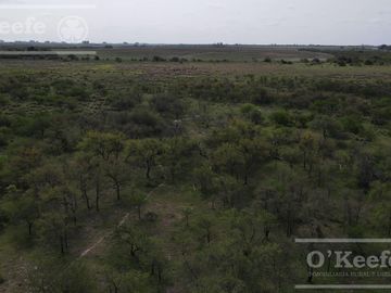 Campo Ganadero en venta - Calchaqui 1200 Has - Con frente sobre ruta