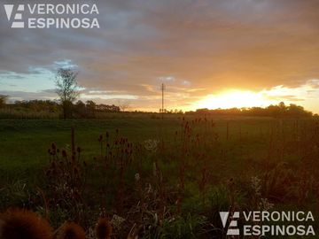 Quinta en venta, 20 De Junio