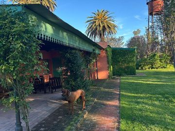 Chacra en Alquiler 6 Ambientes en Luján