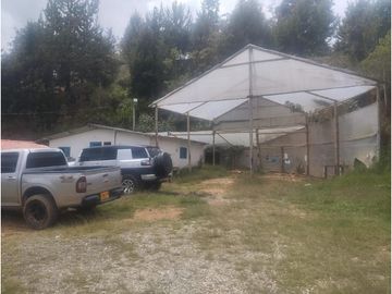 CASA FINCA EN ARRIENDO EN GUARNE A BORDE DE LA AUTOPISTA