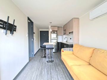 Argomedo 382 [2046-1]