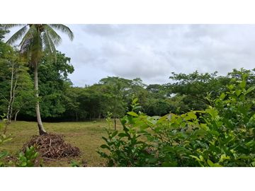 SE VENDE FINCA EN CAPIRA // 3.6 HECTAREAS