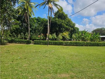 SE VENDE FINCA EN CAPIRA // 3.6 HECTAREAS