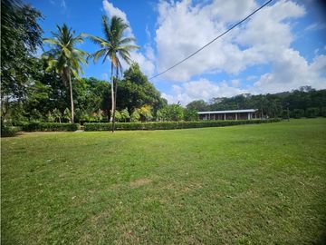 SE VENDE FINCA EN CAPIRA // 3.6 HECTAREAS