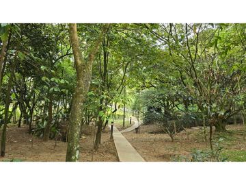 APARTAMENTO EN ARRIENDO EN ENVIGADO