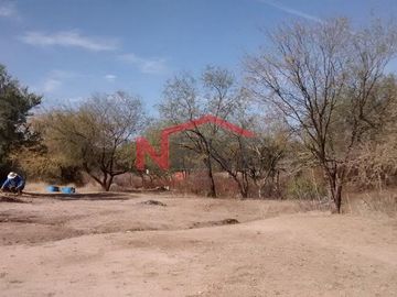 TERRENO EN VENTA EN CAMPESTRE 
