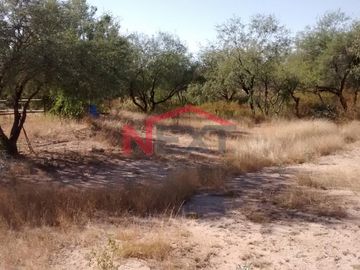 TERRENO EN VENTA EN CAMPESTRE 