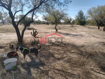 TERRENO EN VENTA EN CAMPESTRE 