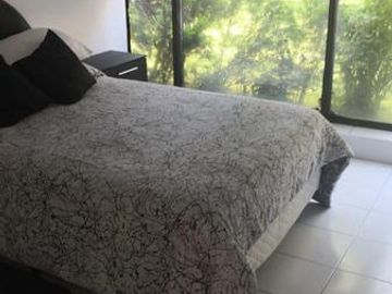 Santa Catarina centro de coyoacán casa en renta