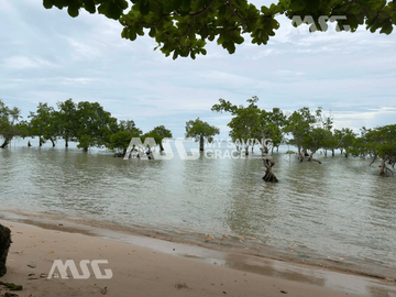 PVT2026-0027: Tinitian, Roxas, Beach Lot