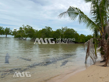 PVT2026-0027: Tinitian, Roxas, Beach Lot