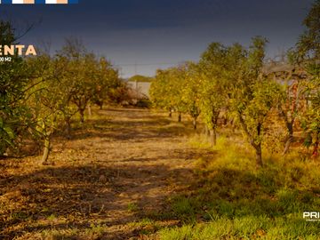 PARCELA 5,000 M2 CON CASA Y ROL PROPIO / RAUTEN