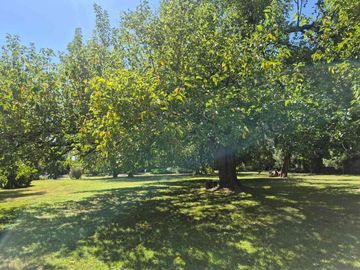 Lote en Club de Campo San Diego (10)