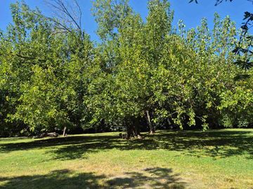 Lote en Club de Campo San Diego (10)