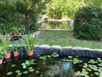 CASA EN VENTA CON PILETA Y AMPLIO TERRENO MORENO