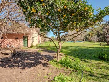 VENTA QUINTA 5000M2 FRANCISCO ALVAREZ