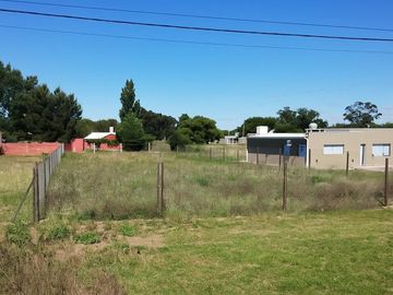 TERRENO CALLE PATO ARGENTINO - TOAY
