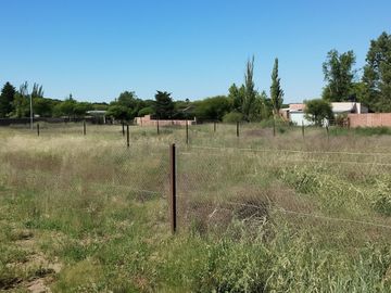 TERRENO CALLE PATO ARGENTINO - TOAY