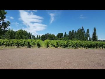 BODEGA VENTA EN FUNCIONAMIENTO SAN MARTIN MENDOZA