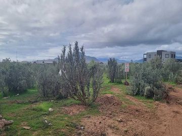 Parcela en venta  en COQUIMBO
