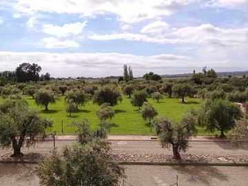 Lote interno en venta en Barrio Olivos de Furlotti