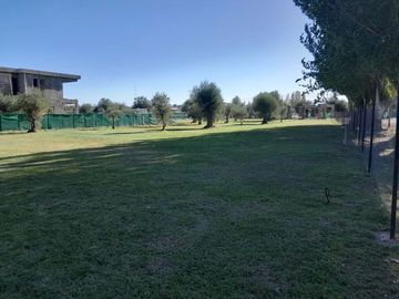 Lote interno en venta en Barrio Olivos de Furlotti