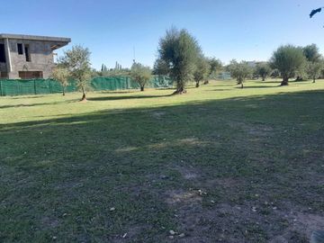 Lote interno en venta en Barrio Olivos de Furlotti