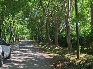 Terreno en Venta en Villa la Ñata, Dique Luján, Tigre, G.B.A. Zona Norte, Argentina